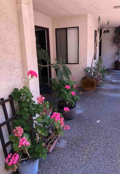Apartment Location West La Spacious With Hottub Los Angeles